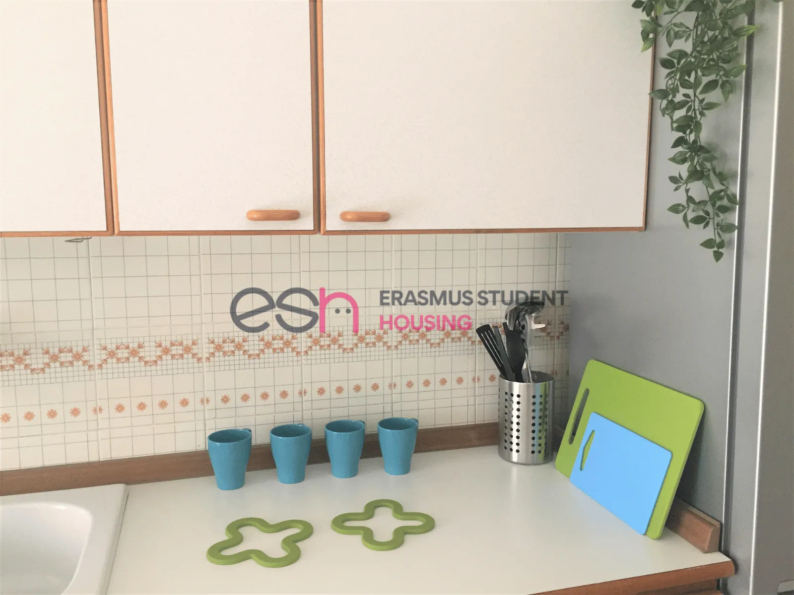 Kitchen 5